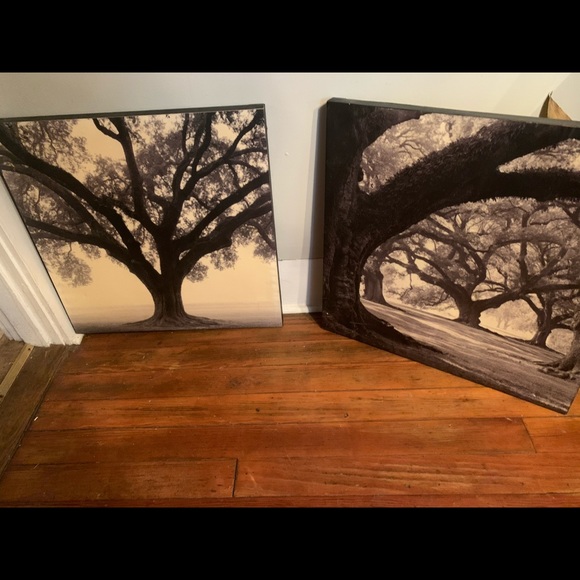 Black and white canvases 24*24 home decor